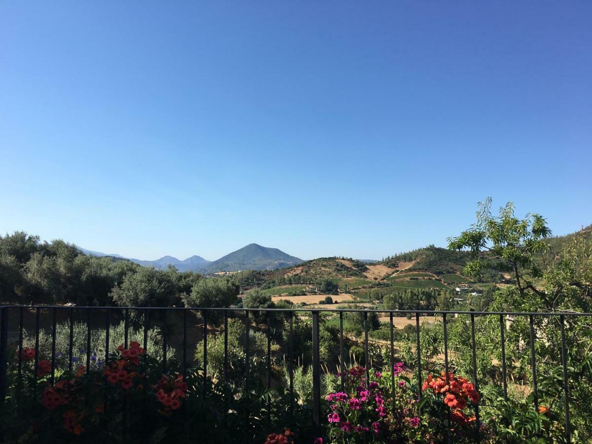 Agriturismo S'orgiola *